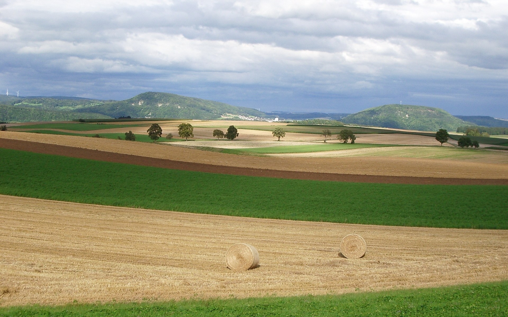 Rolling farmland with hay bales