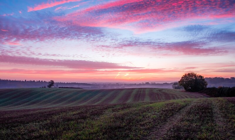 Rolling Fields at Sunrise