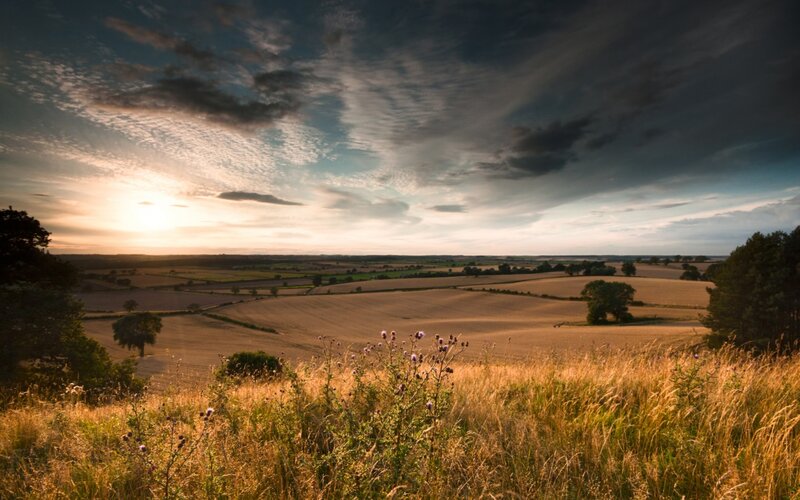 Rolling Fields at Sunset