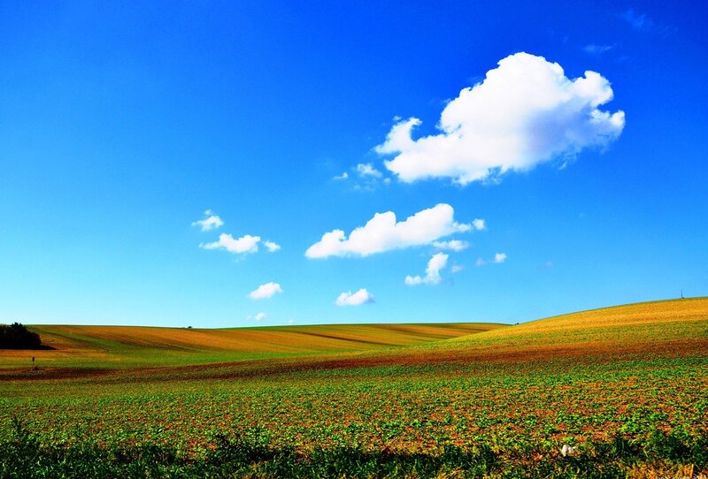 Rolling Fields under Blue Sky — Serene