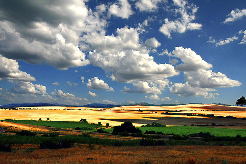 Rolling Fields under Clouds