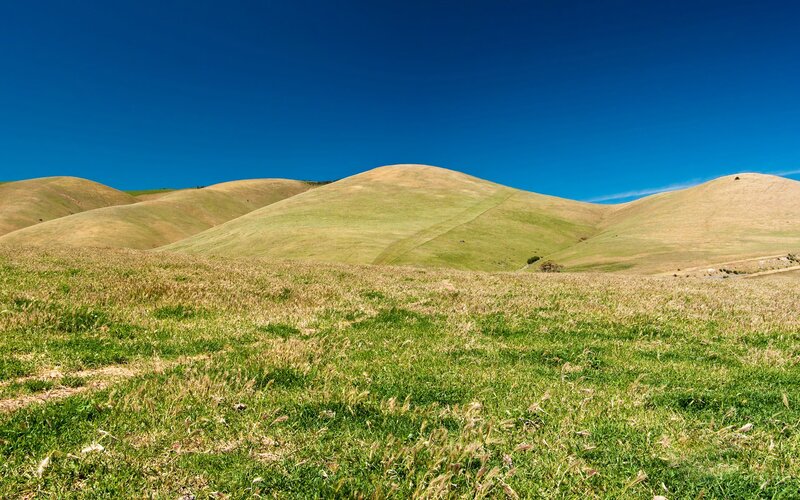 Rolling Grassy Hills — Green