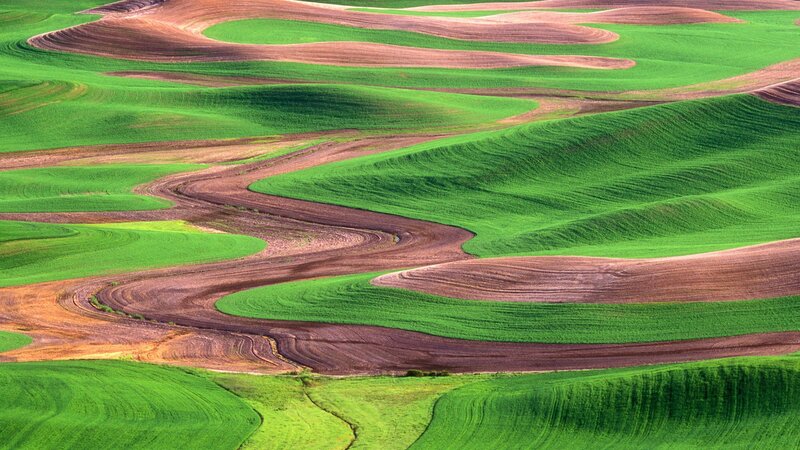 Rolling green and brown fields