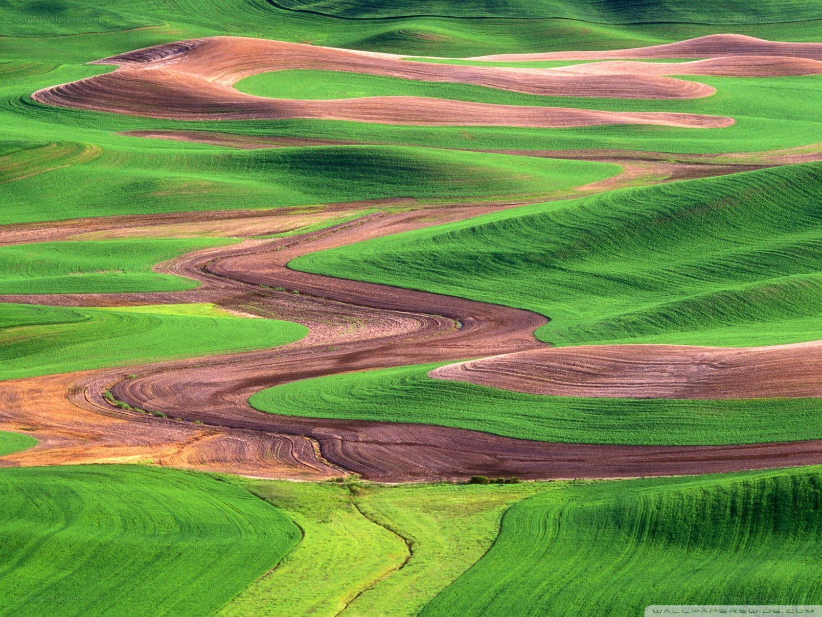 Rolling green and brown fields