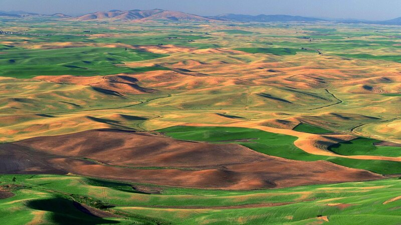 Rolling green and brown hills