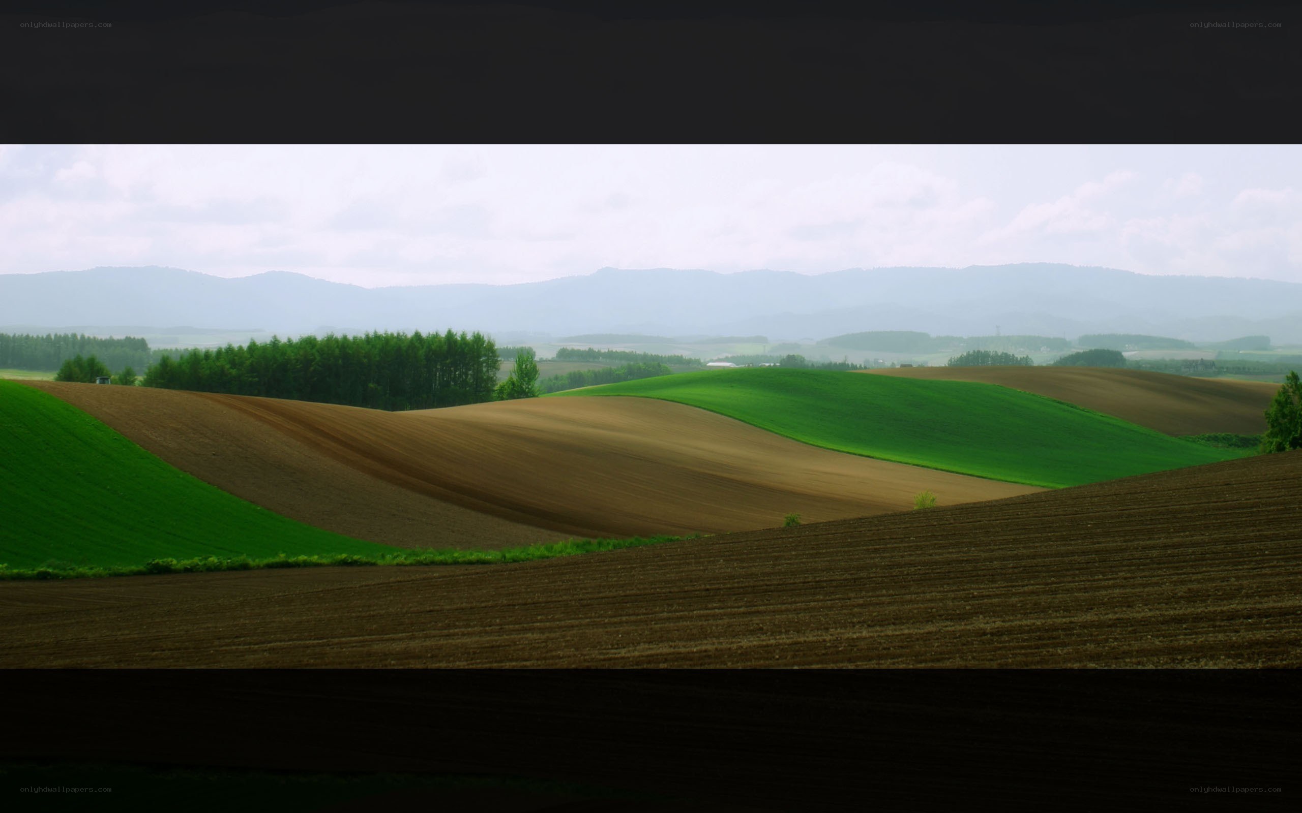 Rolling green and brown hills