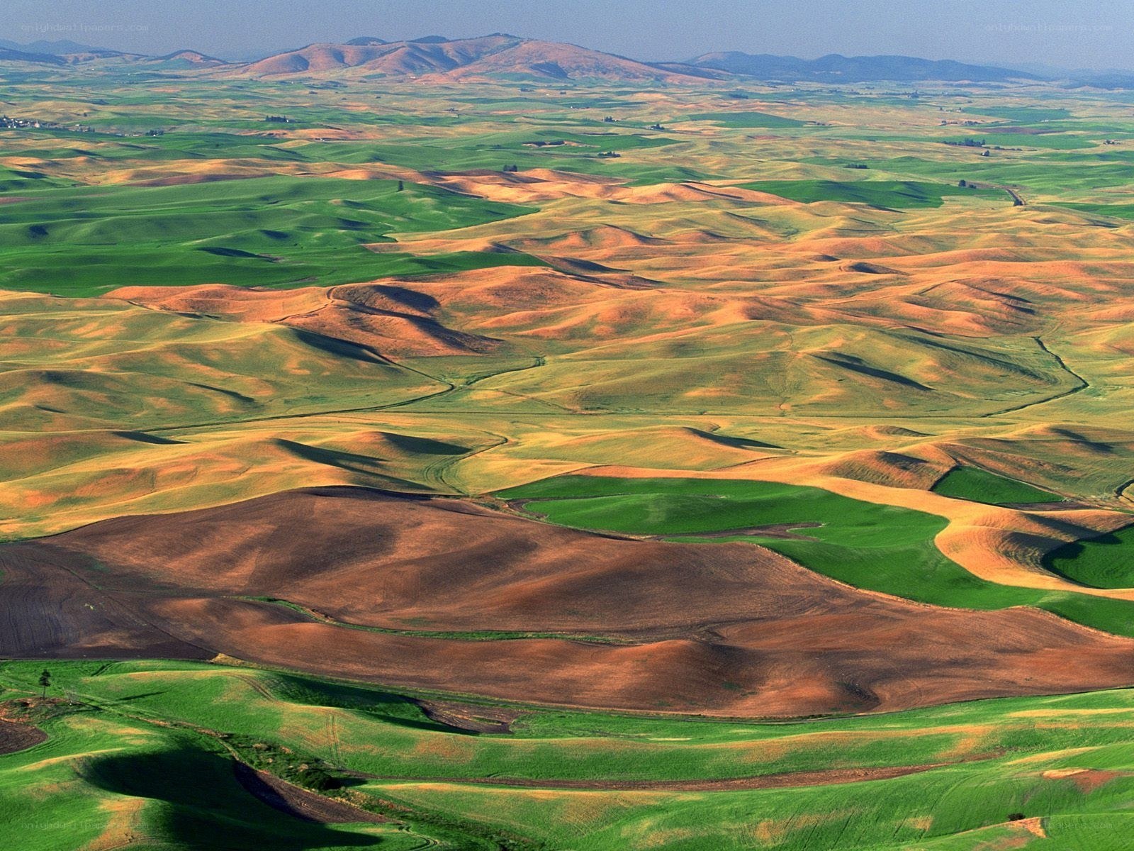 Rolling green and brown hills