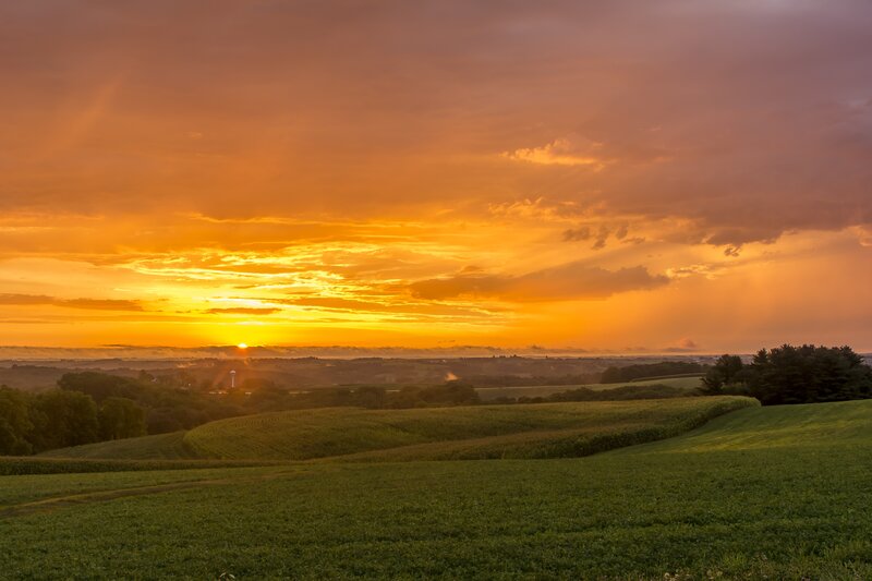 Rolling Green Fields at Sunset — Orange