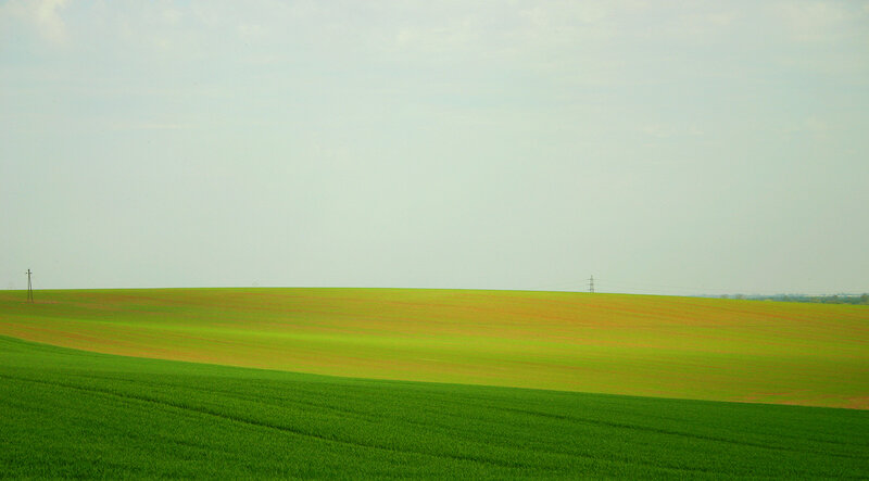 Rolling Green Fields — Serene, Afternoon, Photograph, Power Lines