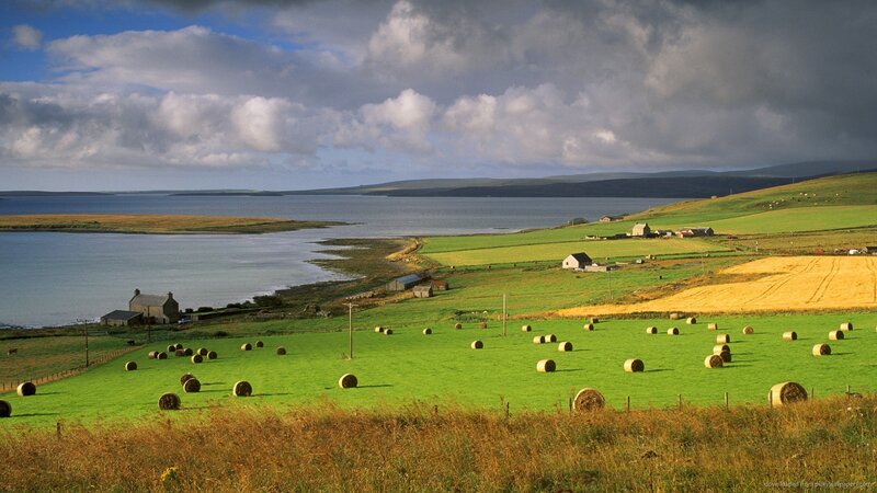 Rolling Green Fields — Serene, Afternoon, Photograph
