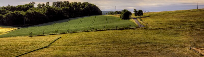 Rolling Green Fields — Serene, Afternoon, Photograph, Trees