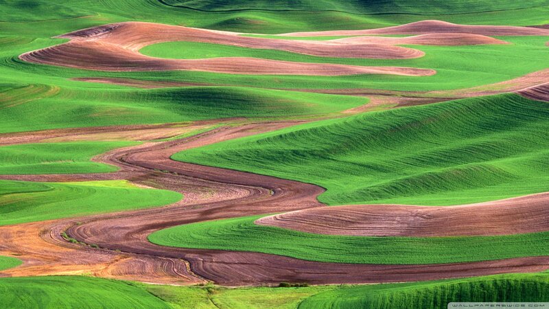 Rolling Green Fields — Serene, Afternoon