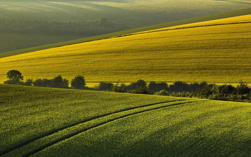 Rolling Green Fields — Serene, Morning, Photograph, Hills