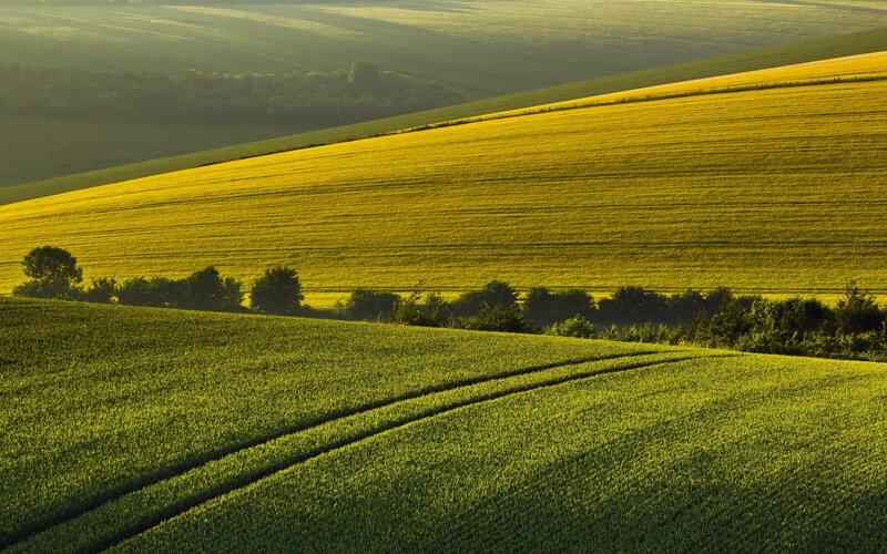 Rolling Green Fields — Serene, Morning, Photograph, Hills, Trees