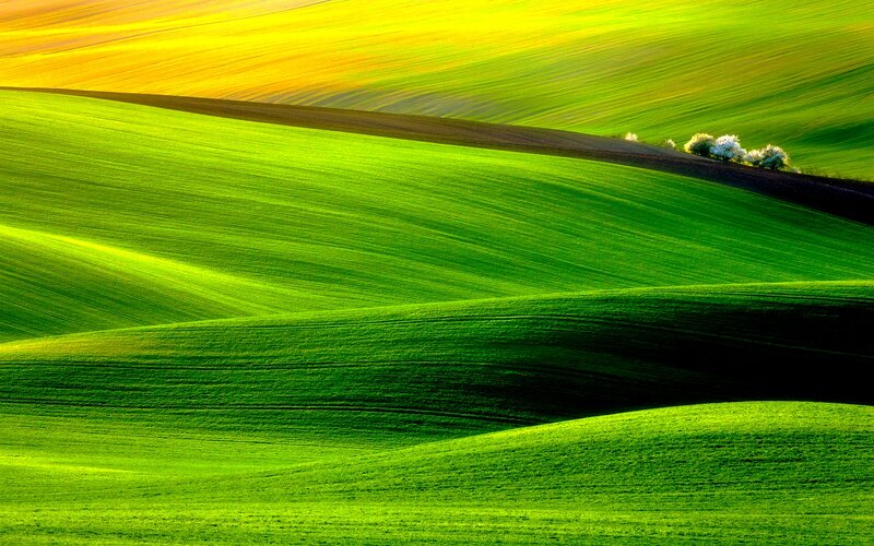 Rolling Green Fields — Serene, Morning, Photograph