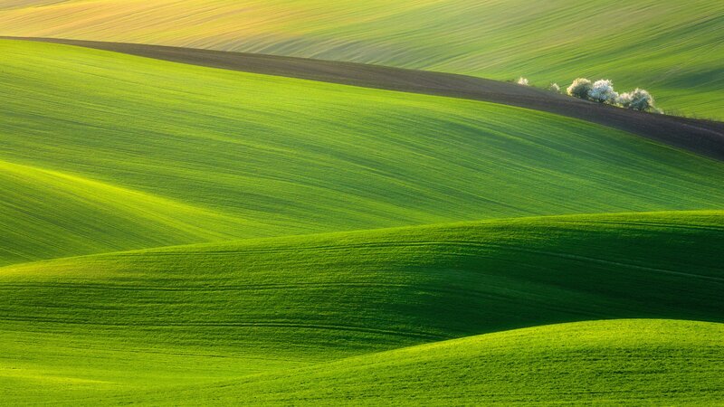 Rolling Green Fields — Serene, Morning, Photograph, Trees, Hills, Farmland, Brown
