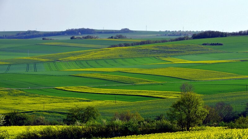 Rolling Green Fields — Serene, Spring