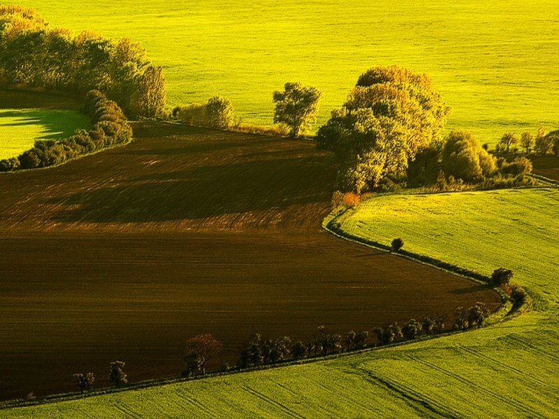 Rolling Green Fields — Serene