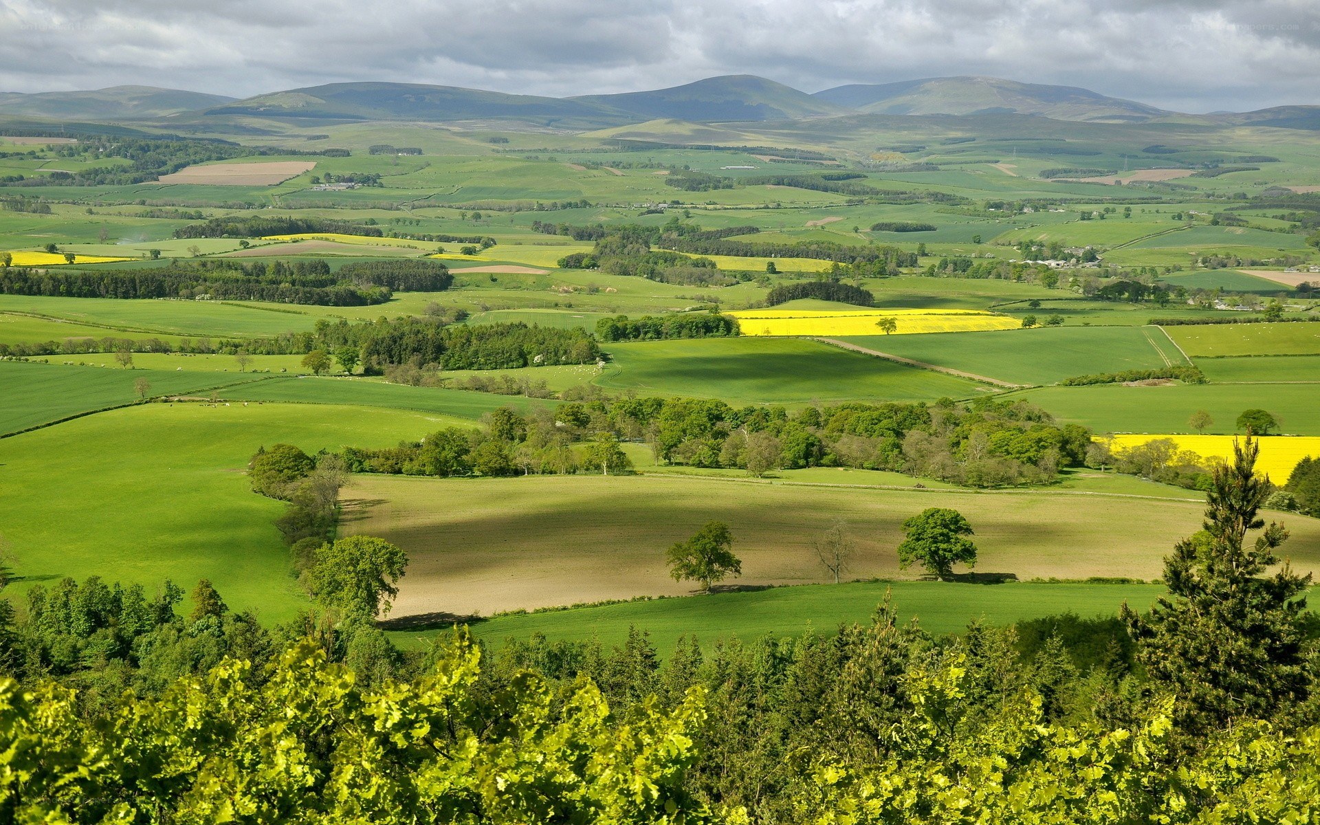 Rolling green hills and fields