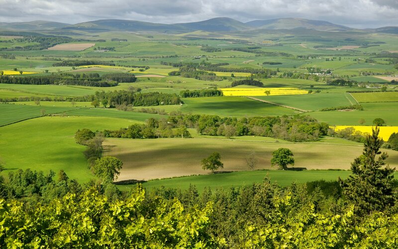 Rolling green hills and fields