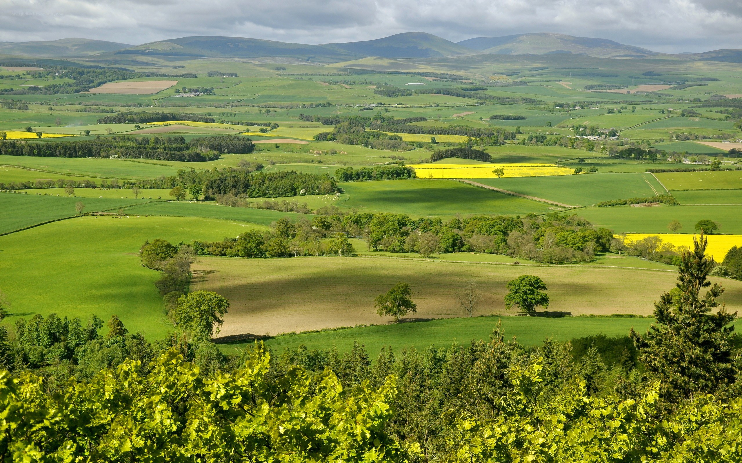 Rolling green hills and fields