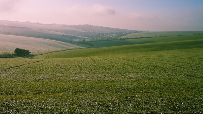 Rolling green hills at dawn