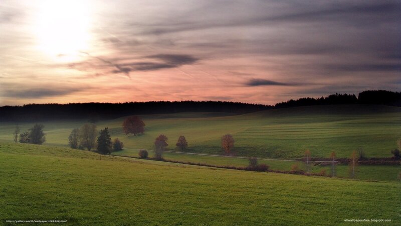 Rolling Green Hills at Dusk — Serene