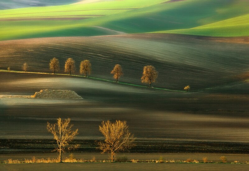 Rolling green hills at sunrise