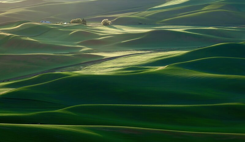 Rolling green hills at sunrise