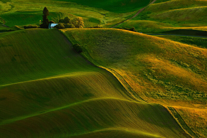 Rolling green hills at sunrise