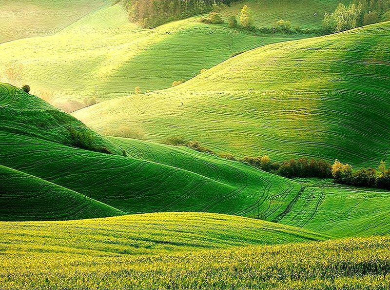 Rolling green hills at sunrise