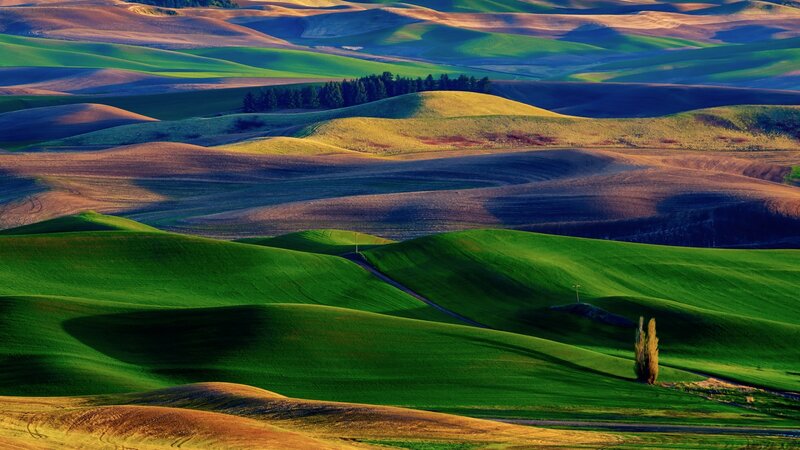Rolling green hills at sunset