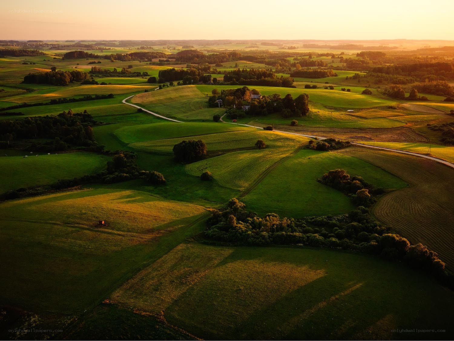 Rolling green hills at sunset