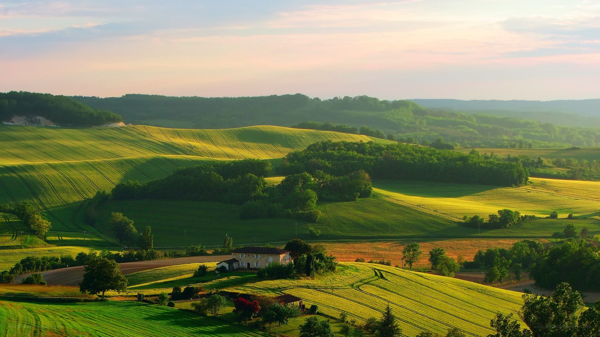 Rolling green hills at sunset