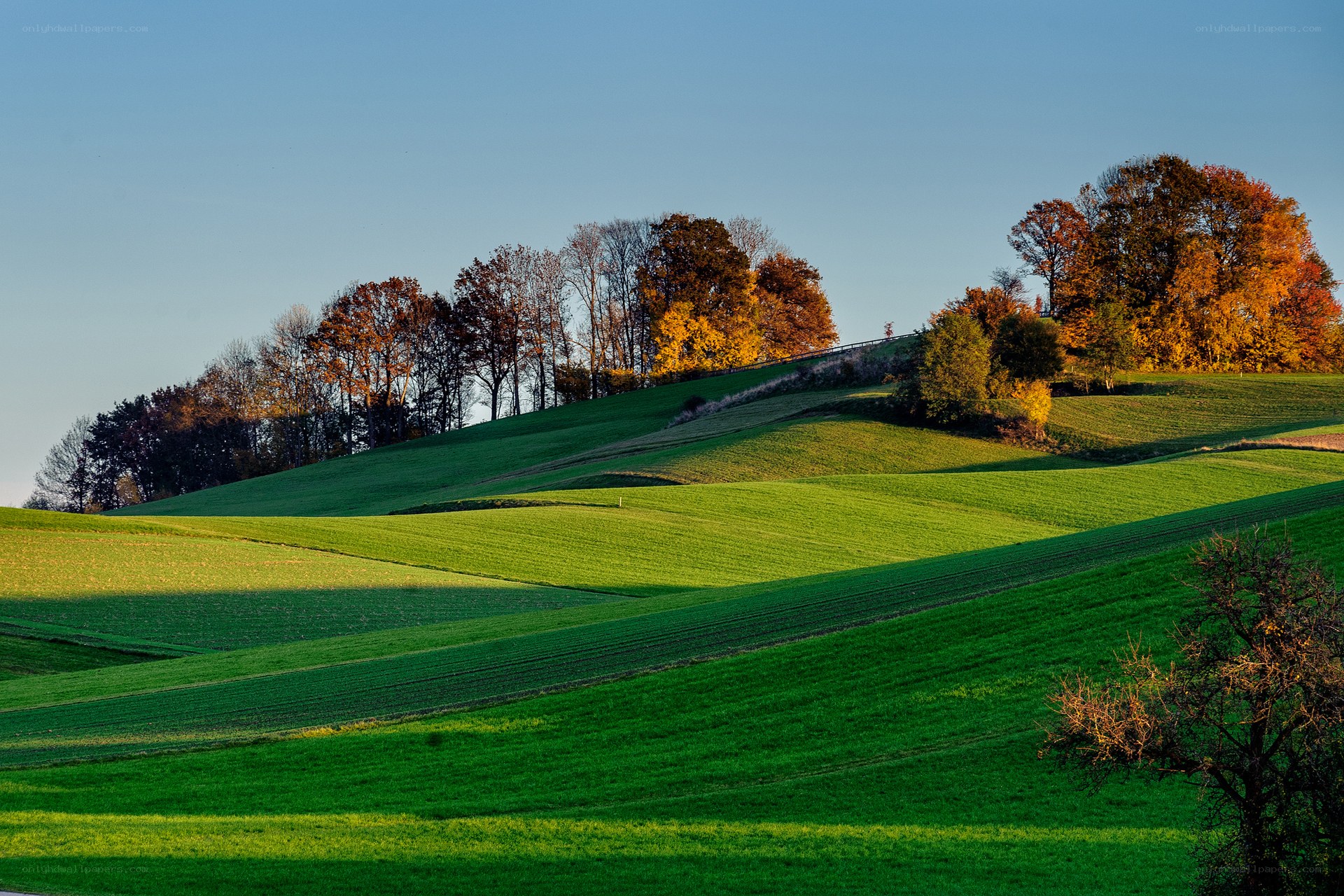 Rolling green hills at sunset