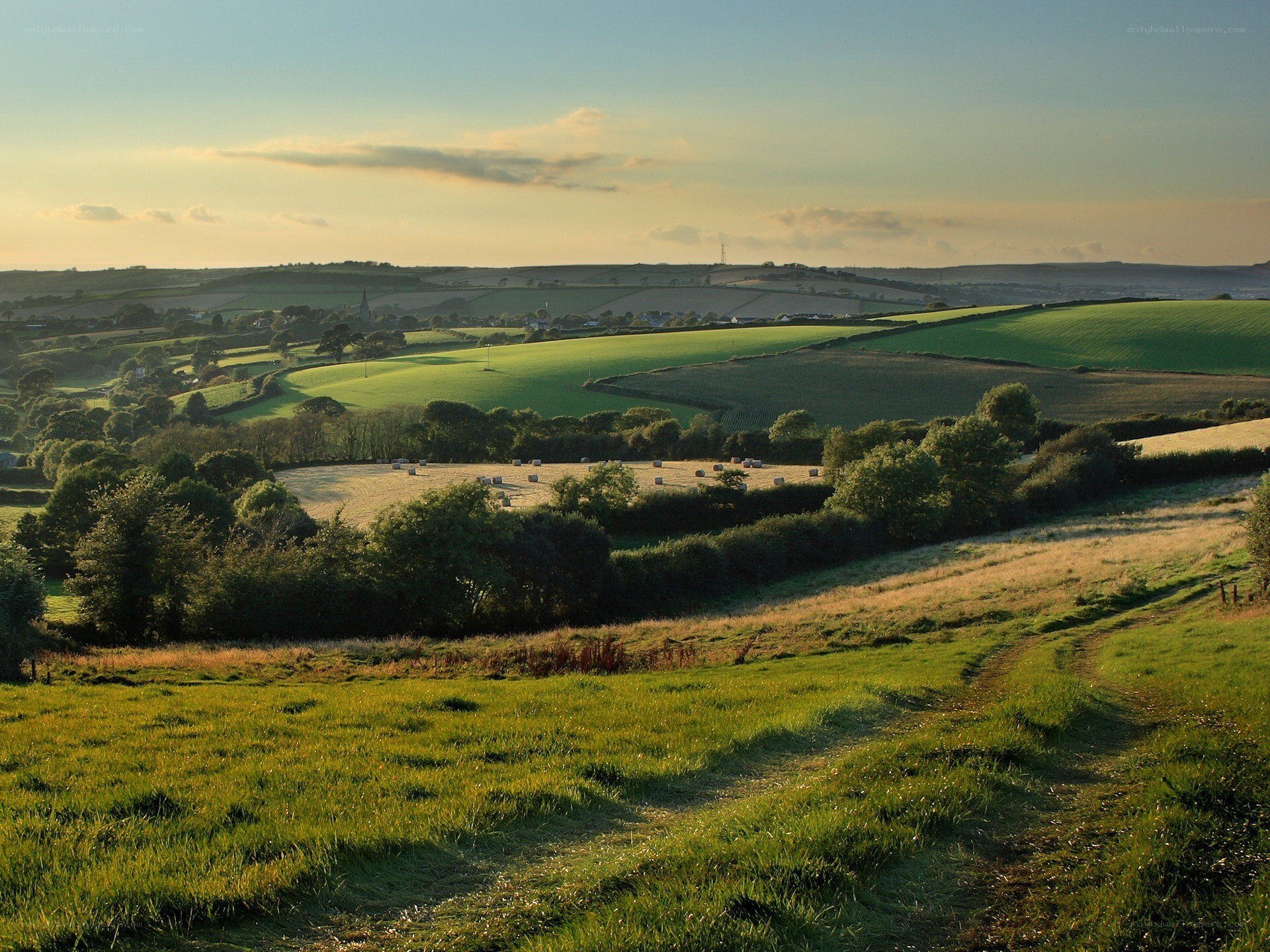 Rolling green hills at sunset