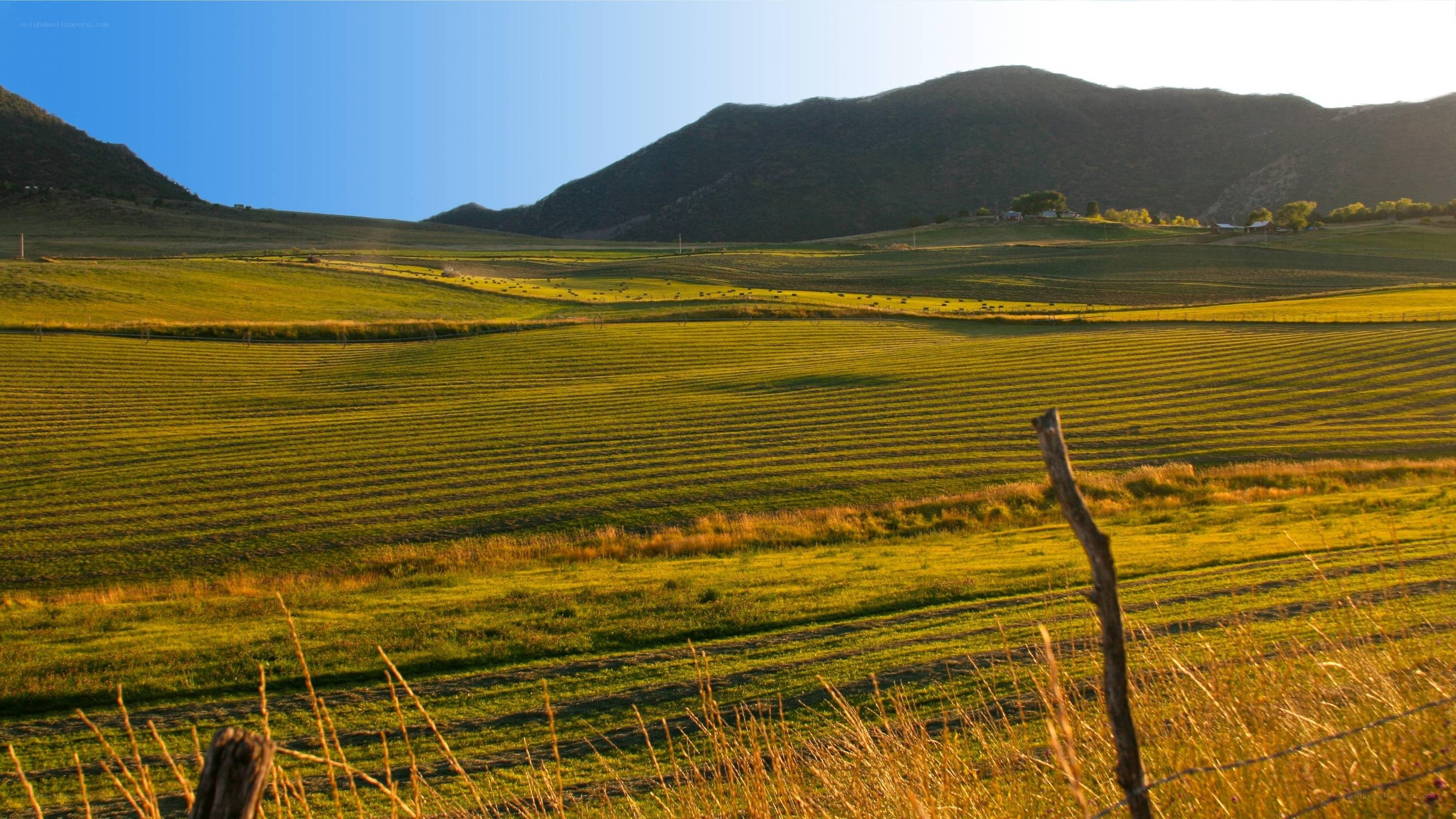 Rolling green hills at sunset