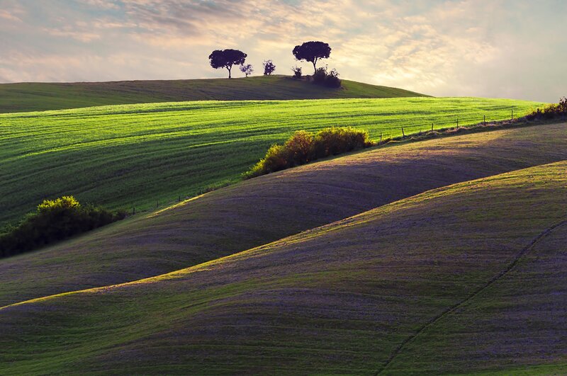 Rolling green hills at sunset
