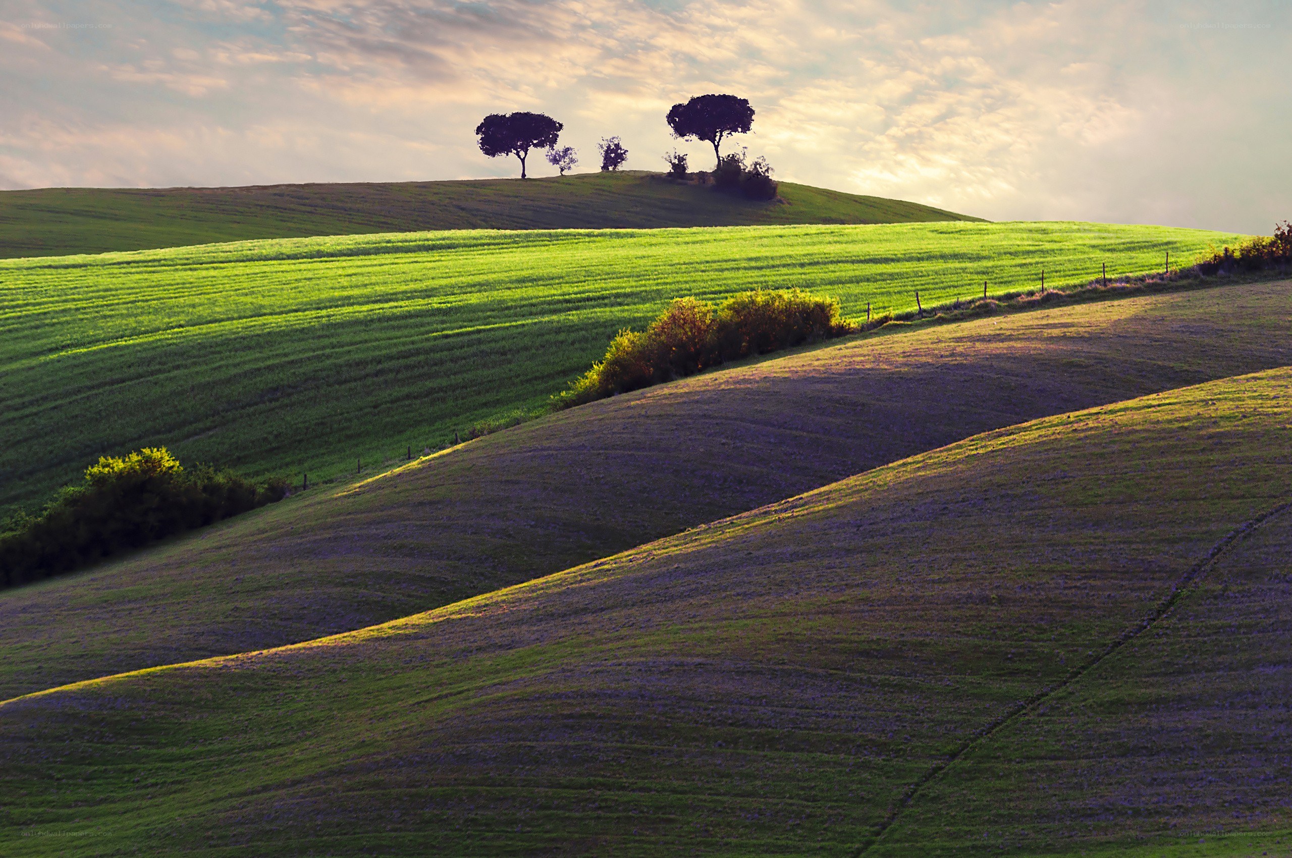 Rolling green hills at sunset