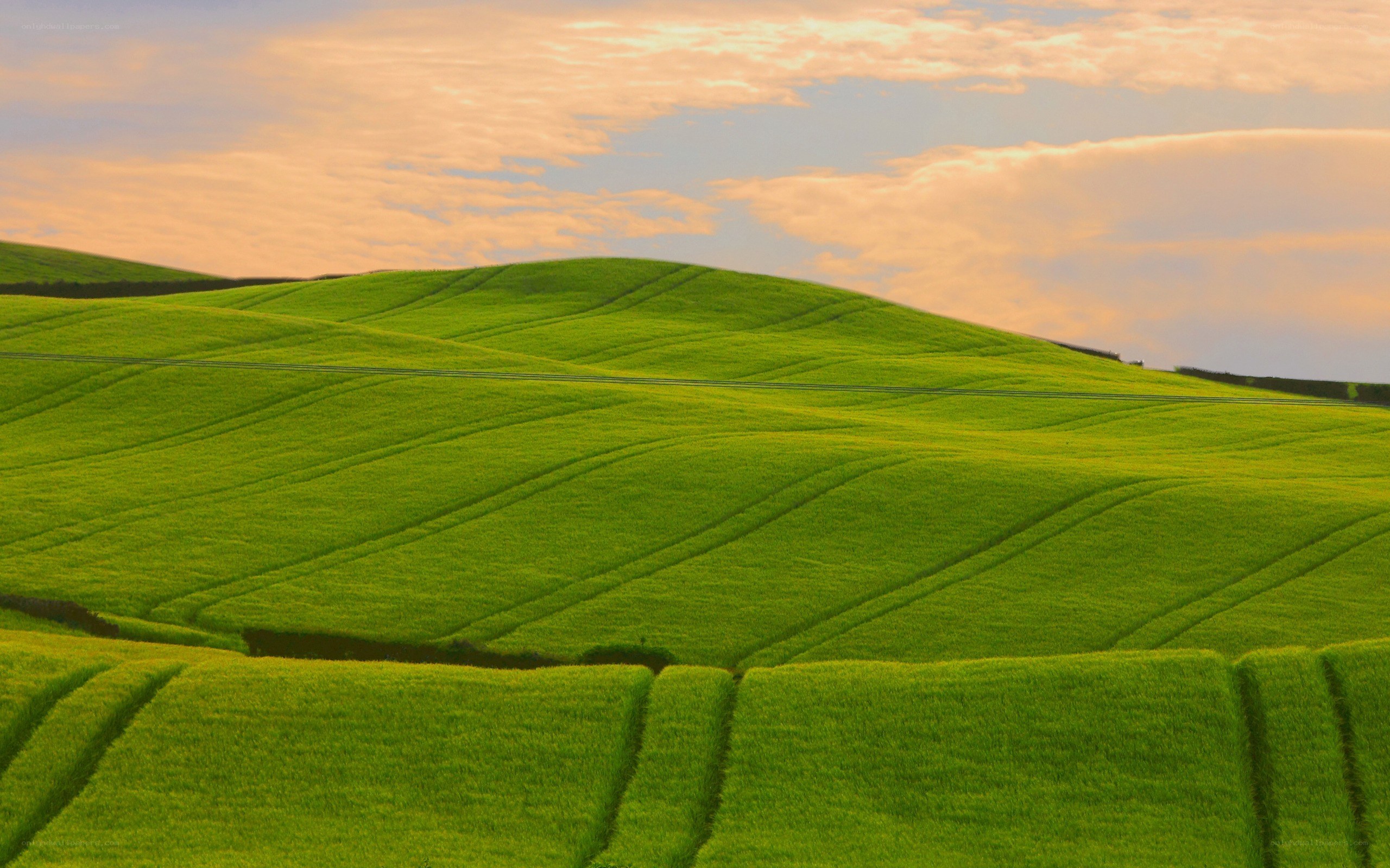 Rolling green hills at sunset