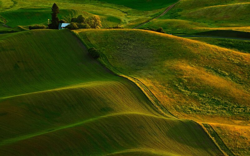 Rolling green hills at sunset