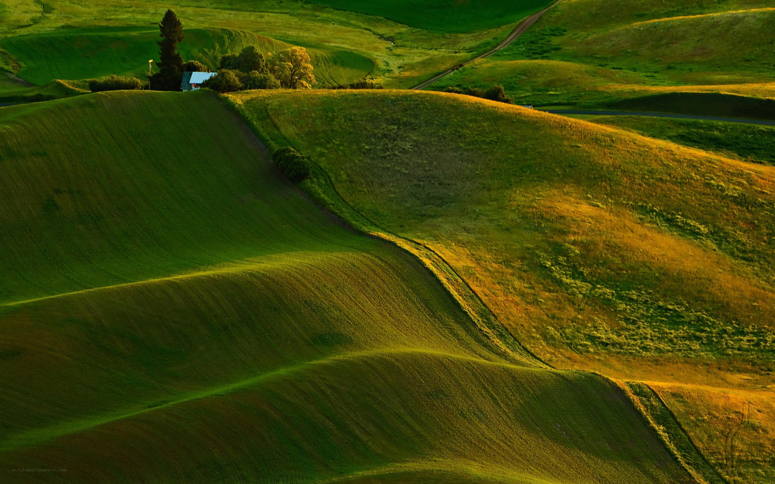 Rolling green hills at sunset