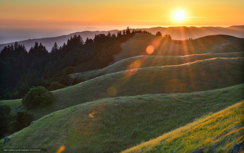 Rolling Green Hills at Sunset — Serene, Photograph, Sun