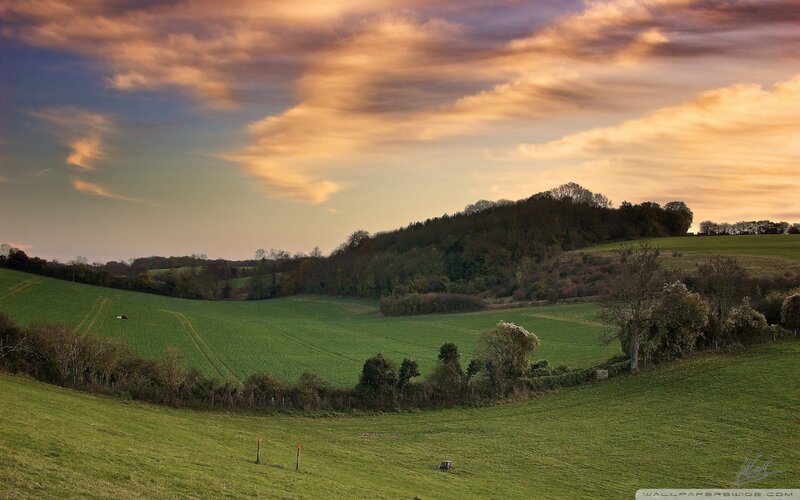Rolling Green Hills at Sunset — Serene