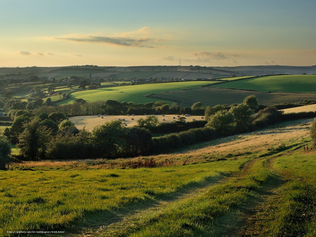 Rolling green hills at sunset
