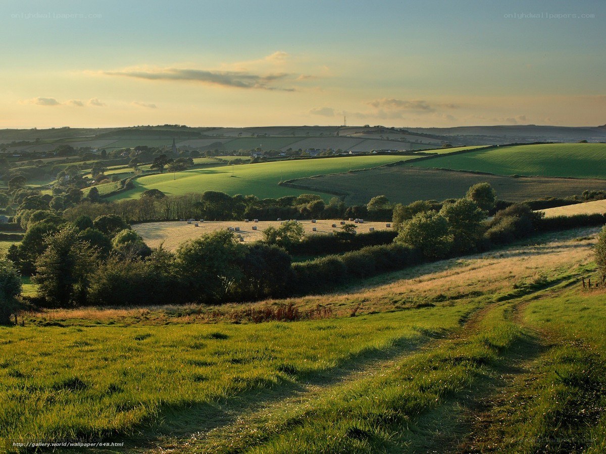 Rolling green hills at sunset
