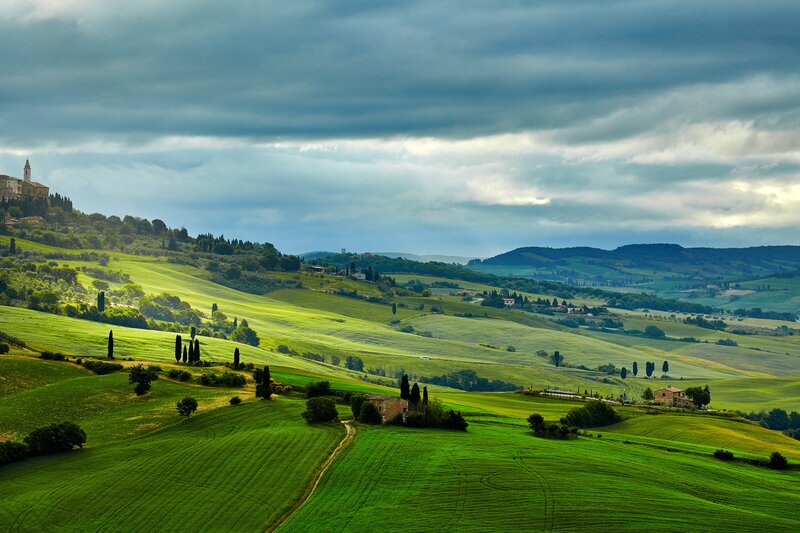 Rolling Green Hills — Dramatic, Afternoon, Photograph, Cypress Trees