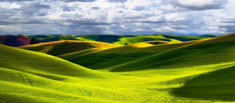 Rolling Green Hills — Dramatic, Afternoon, Photograph