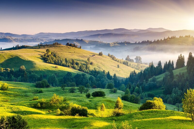 Rolling Green Hills — Fog