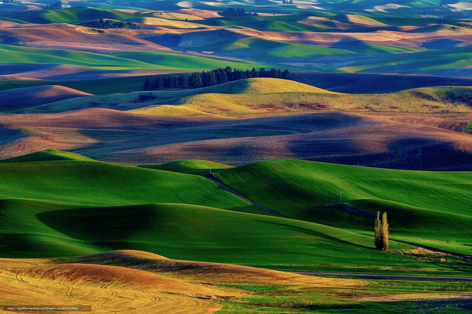 Rolling green hills landscape